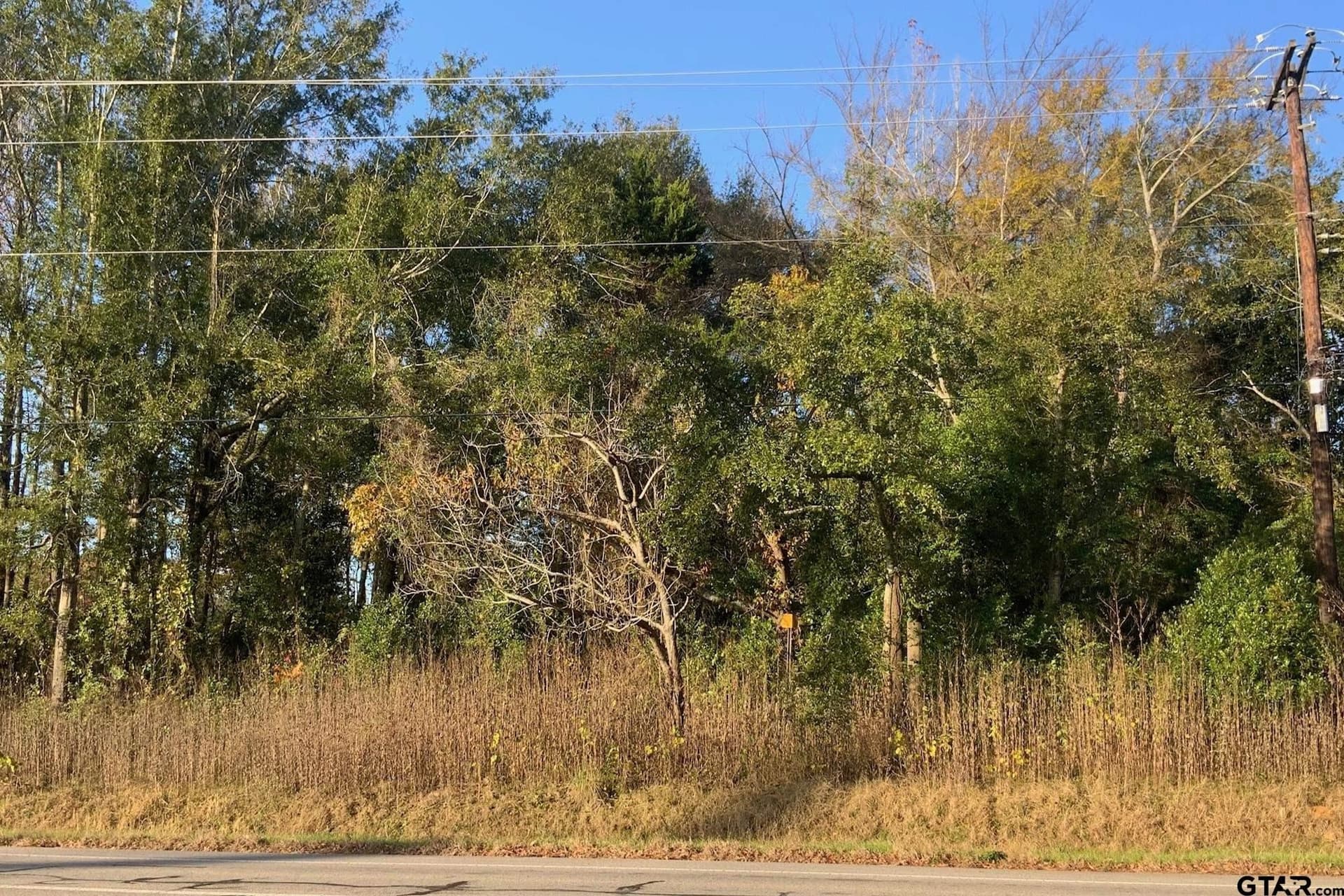 0.2 acres in Smith County - photo 2