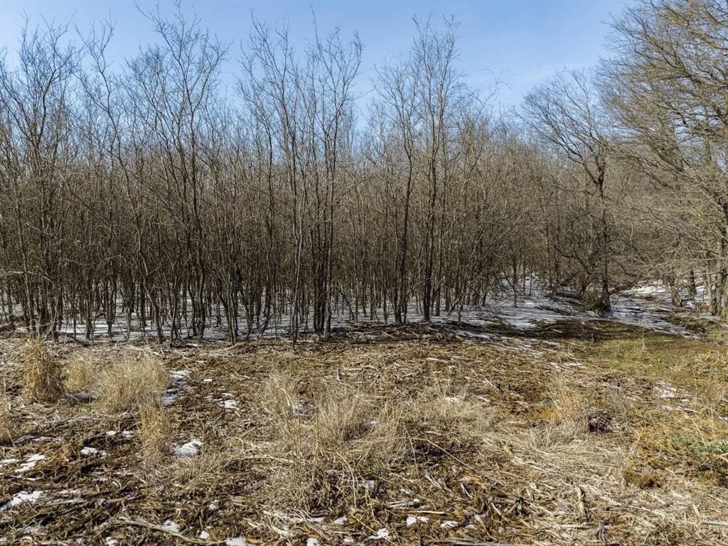 1.2 acres in Hill County - photo 21