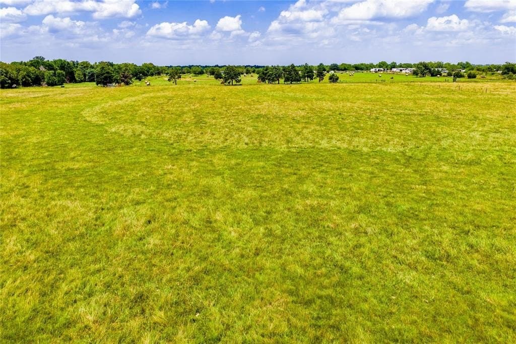 16.3 acres in Kaufman County - photo 12