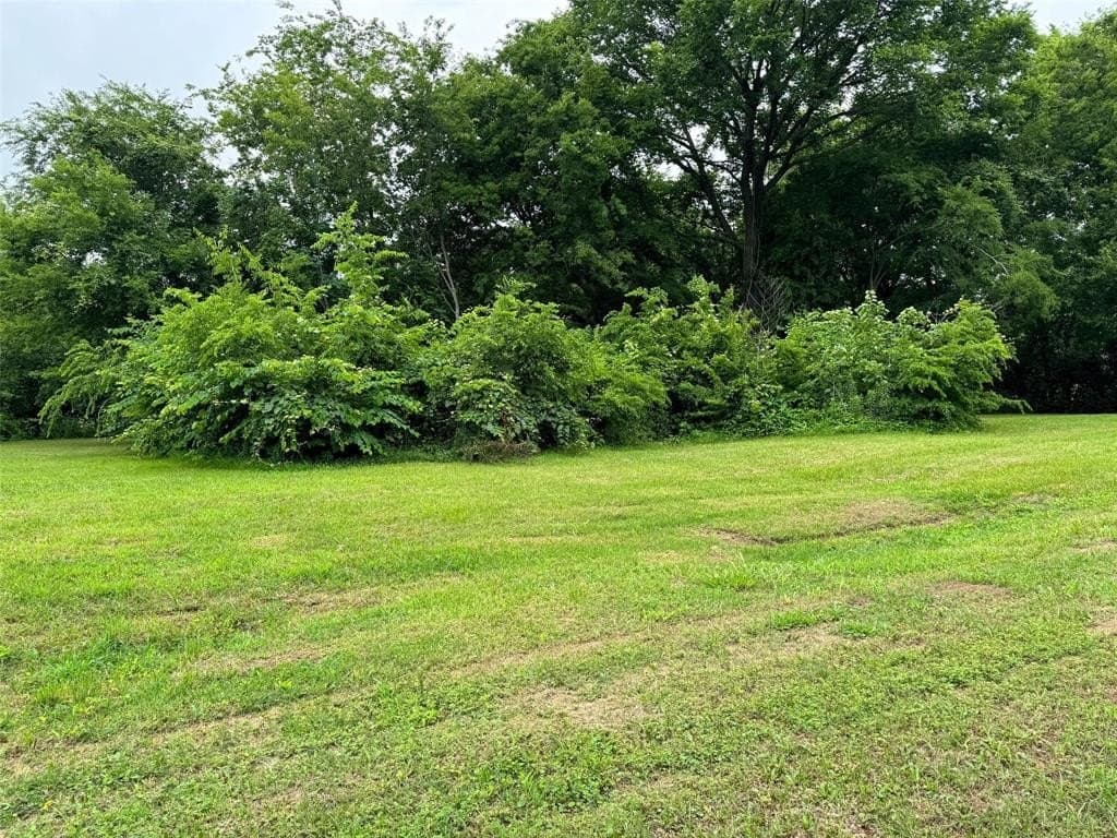 0.48 acres in Titus County - photo 4