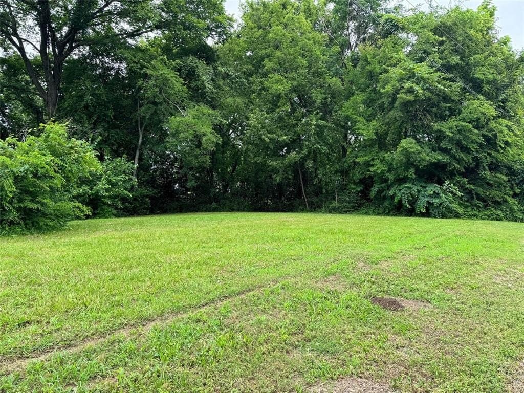 0.48 acres in Titus County - photo 3