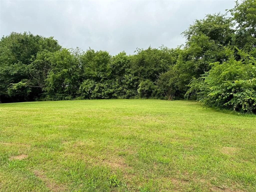0.48 acres in Titus County - photo 2