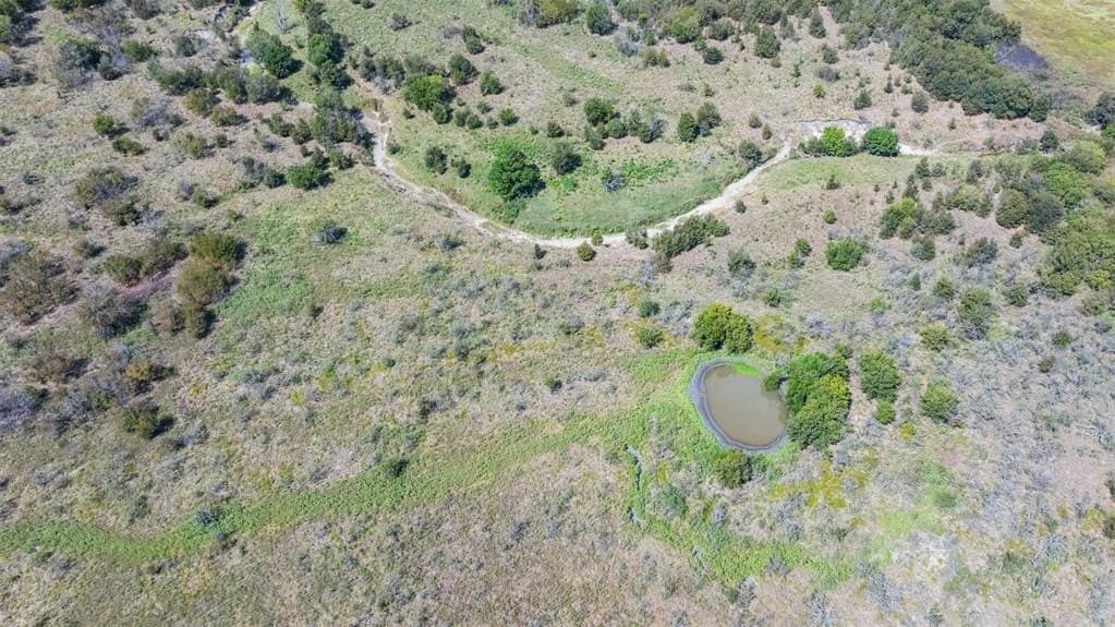143.17 acres in Limestone County - photo 18