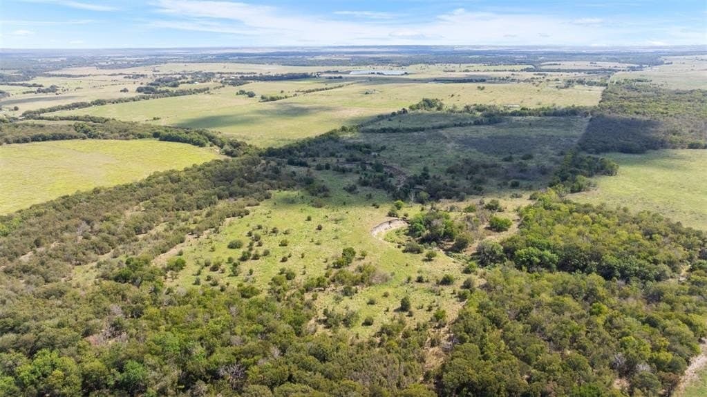 143.17 acres in Limestone County - photo 4