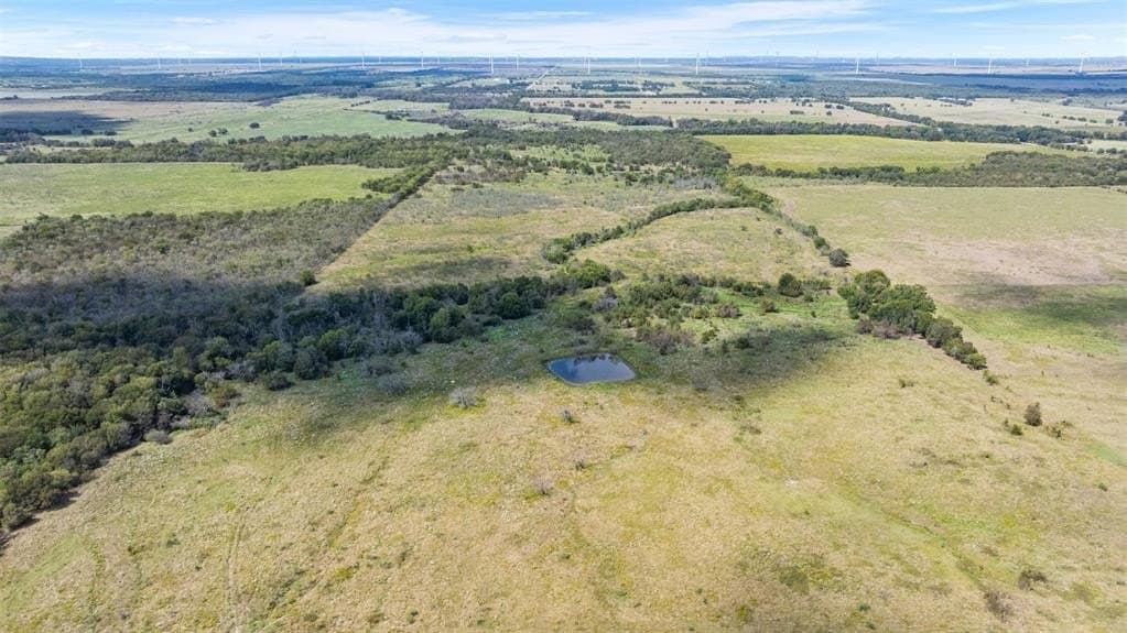 143.17 acres in Limestone County - photo 14