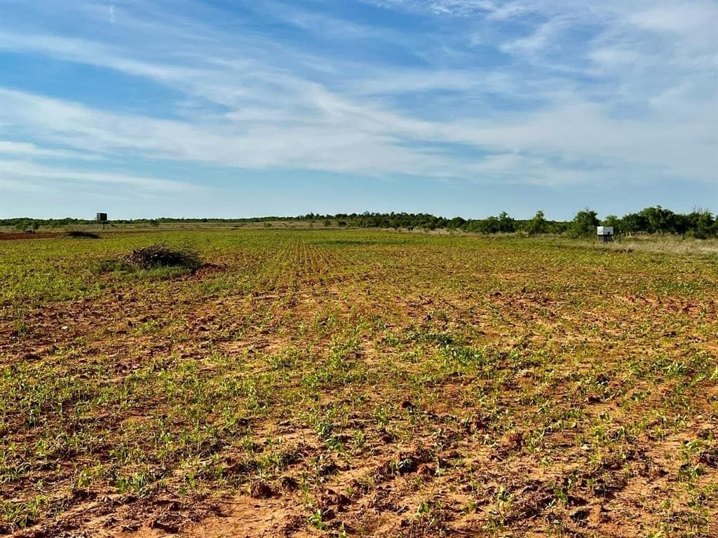 370 acres in Jones County - photo 24