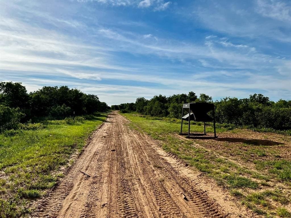 370 acres in Jones County - photo 19