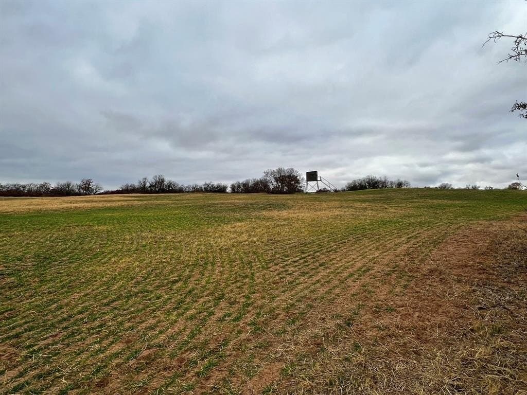 370 acres in Jones County - photo 2
