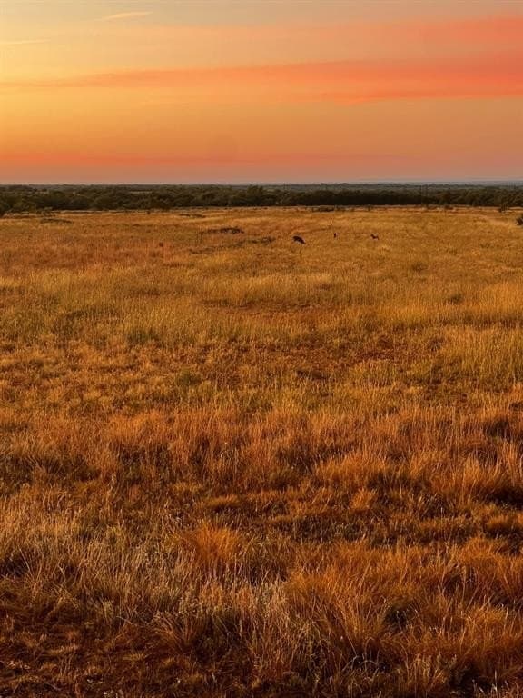 370 acres in Jones County - photo 18