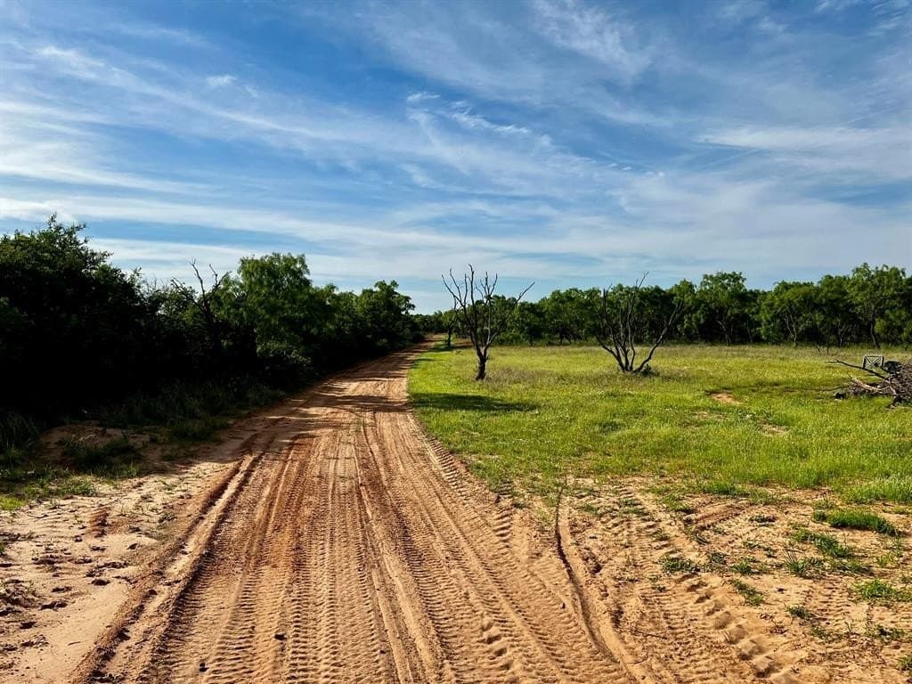370 acres in Jones County - photo 6