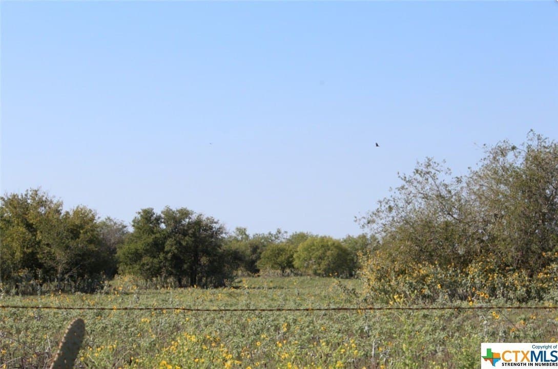 1 acres in Gonzales County - photo 10