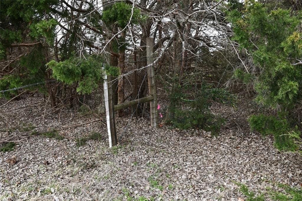 3.17 acres in Dallas County - photo 13
