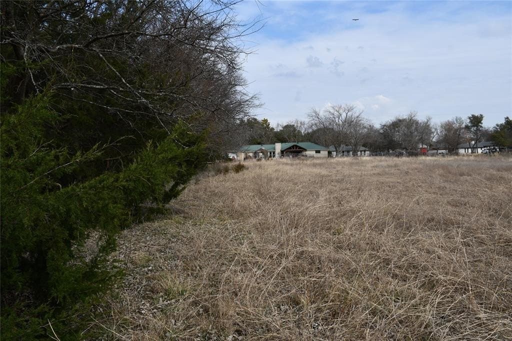 3.17 acres in Dallas County - photo 14