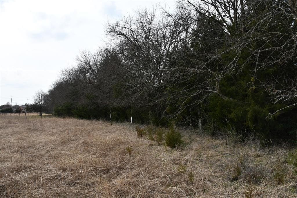3.17 acres in Dallas County - photo 11