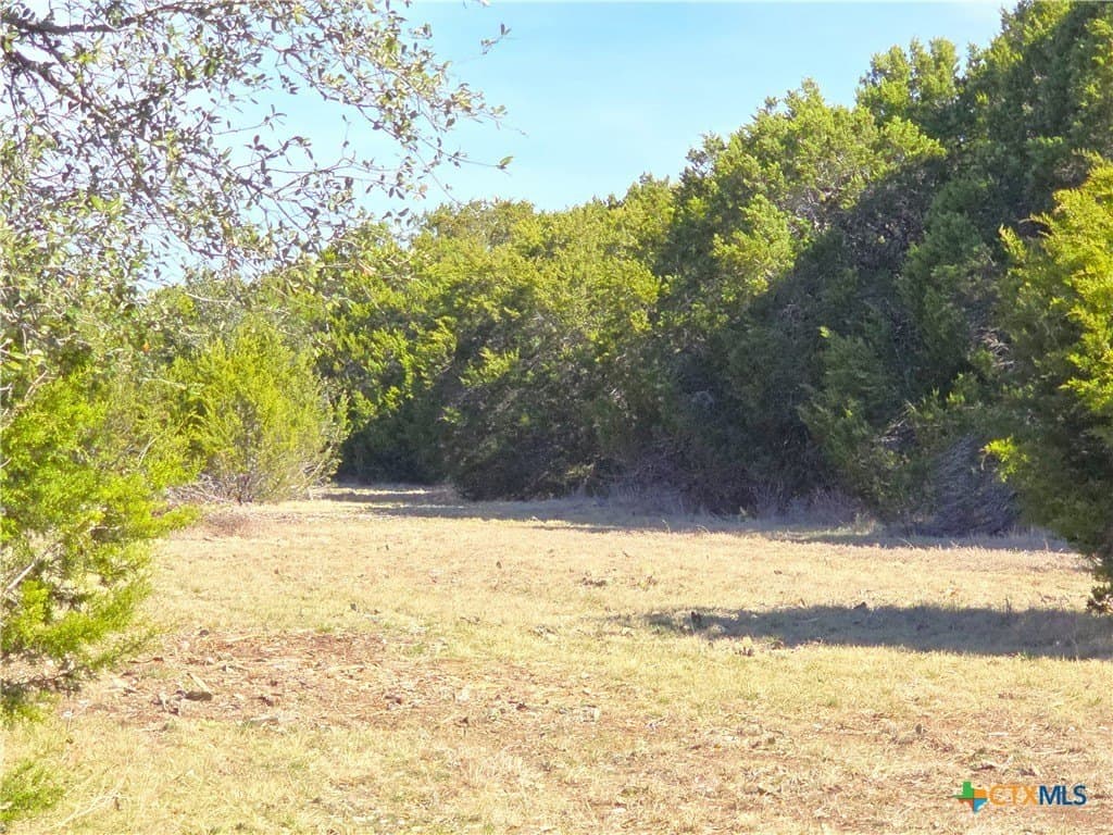 11 acres in Burnet County - photo 8