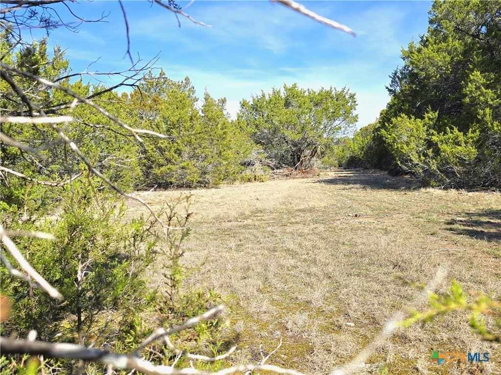 11 acres in Burnet County - photo 9