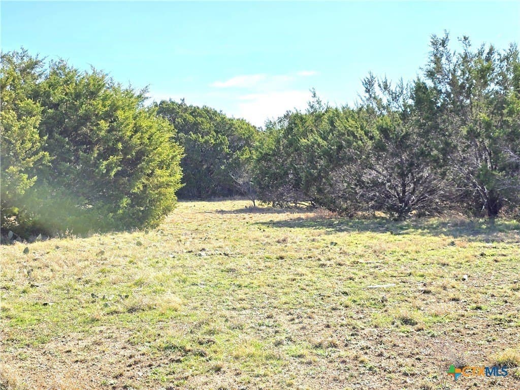 11 acres in Burnet County - photo 10