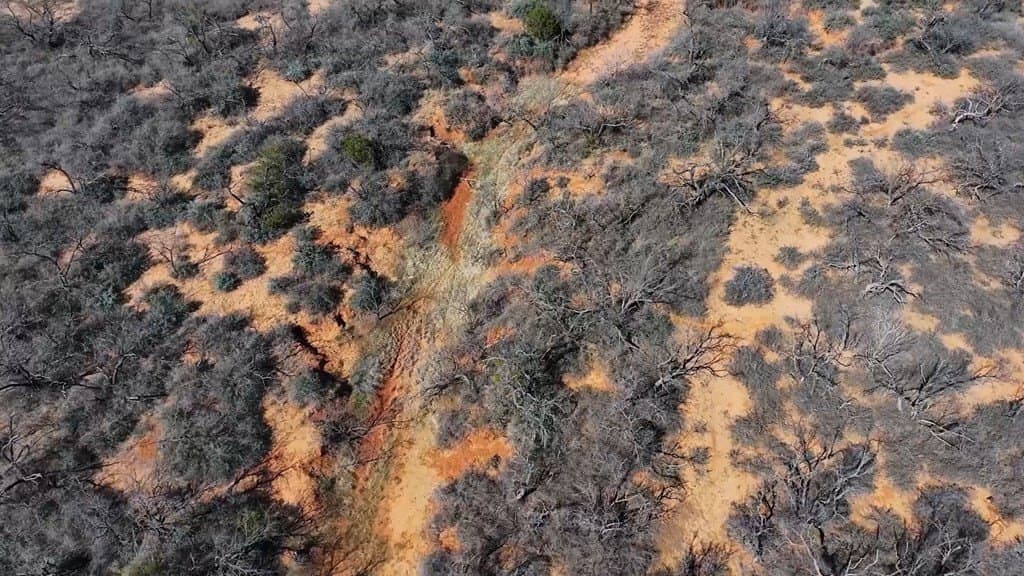 258.91 acres in Coke County - photo 3