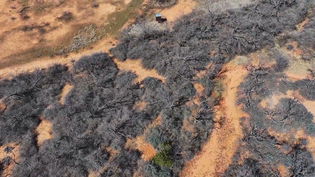 258.91 acres in Coke County - photo 2