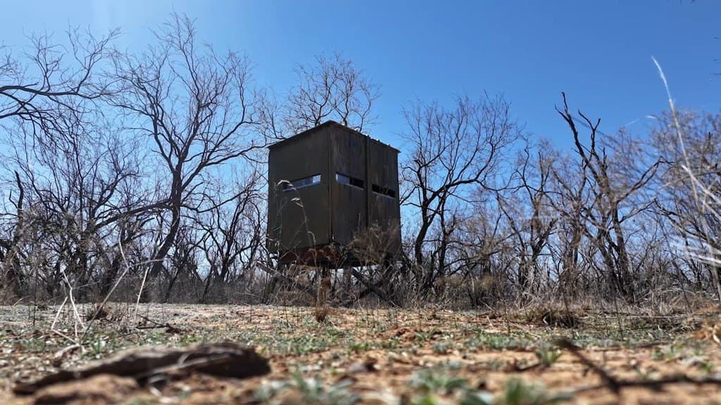 258.91 acres in Coke County - photo 6