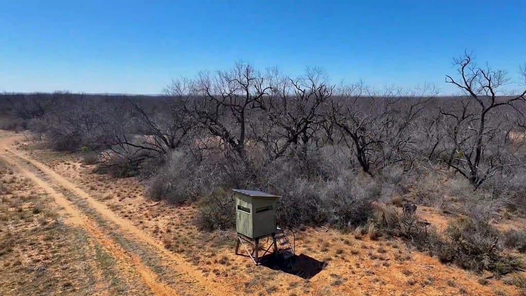 258.91 acres in Coke County - photo 5