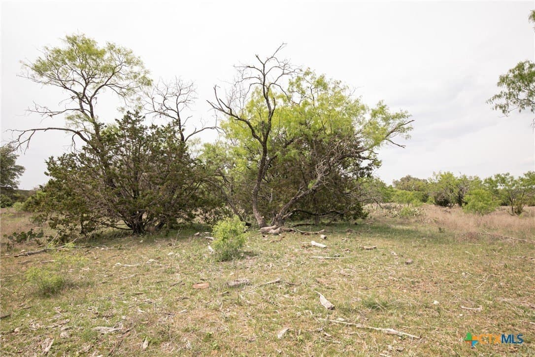 5.51 acres in Burnet County - photo 23