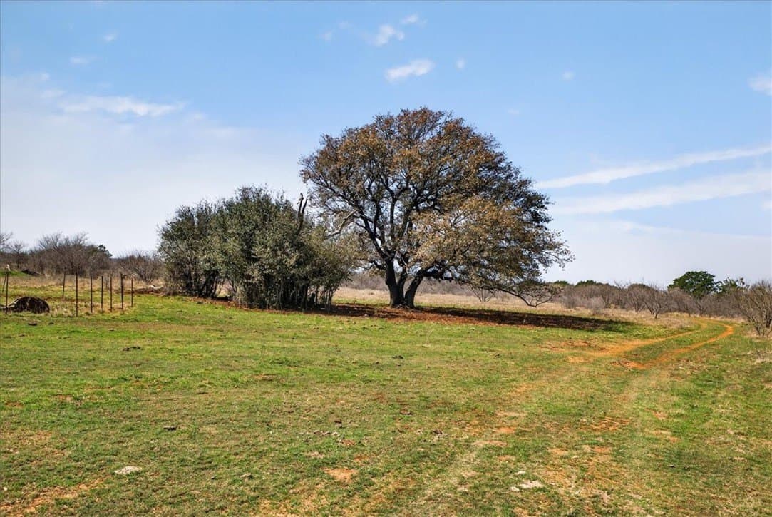 731.69 acres in Palo Pinto County - photo 2