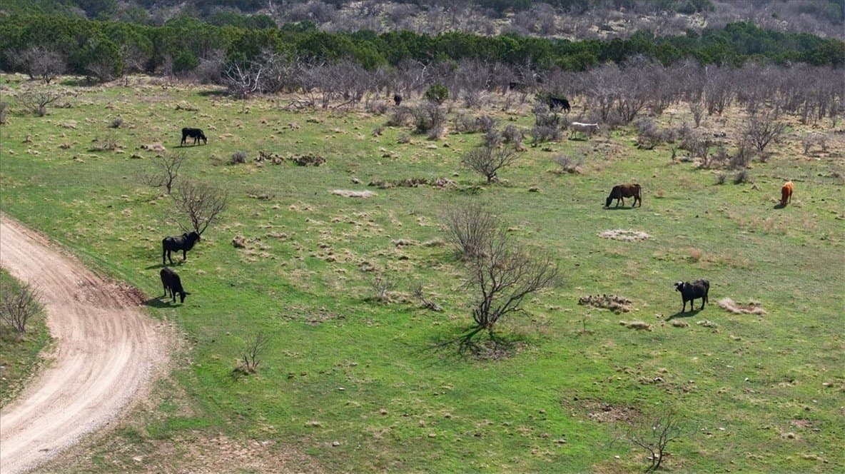731.69 acres in Palo Pinto County - photo 28