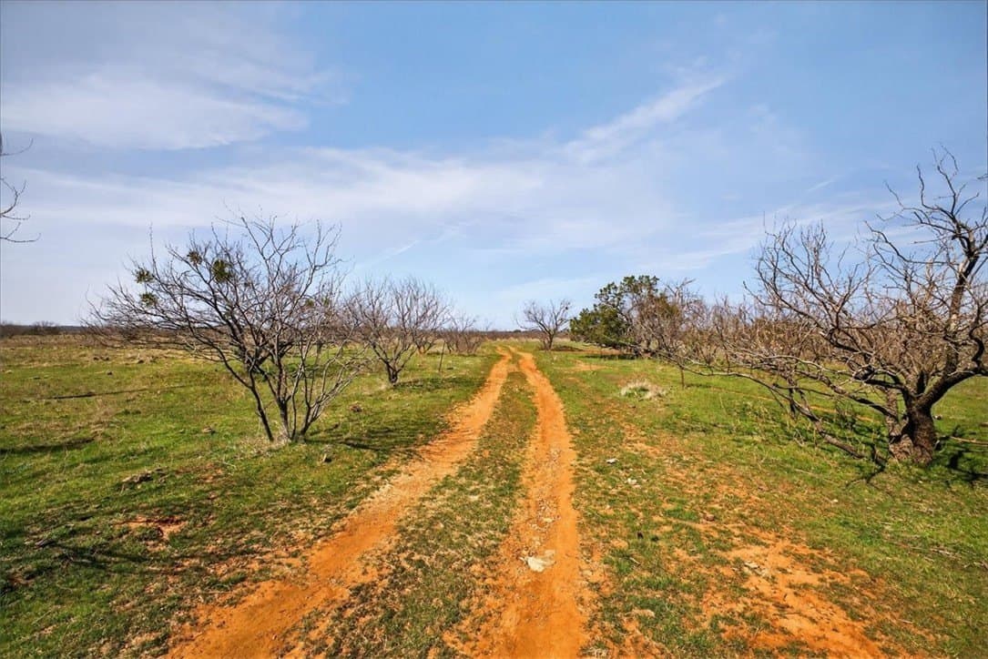 731.69 acres in Palo Pinto County - photo 18