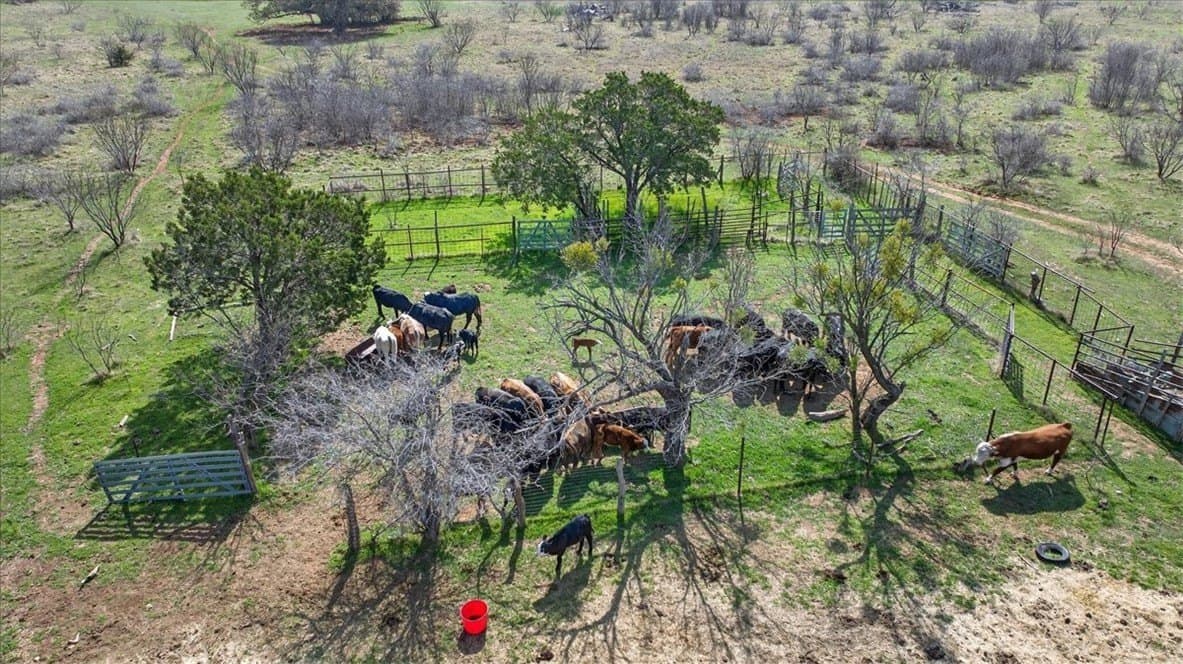 731.69 acres in Palo Pinto County - photo 37
