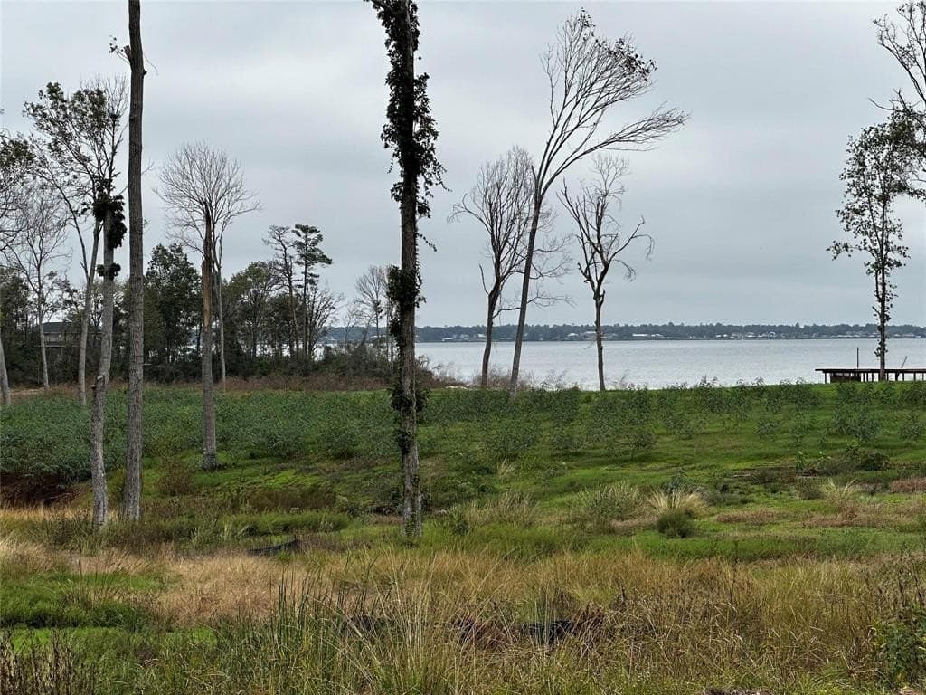0.46 acres in Polk County - photo 2