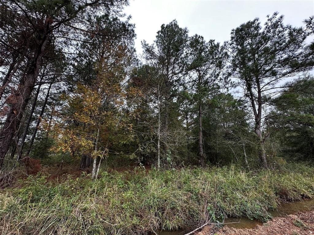 0.46 acres in Polk County - photo 6