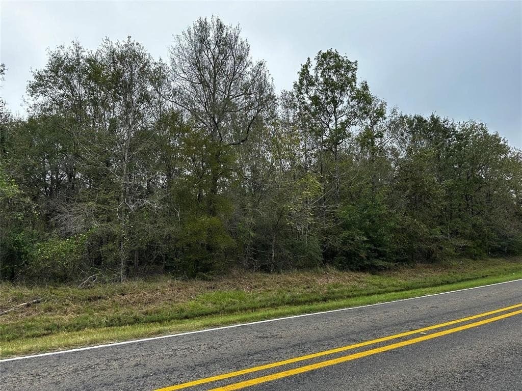 0.46 acres in Polk County - photo 3