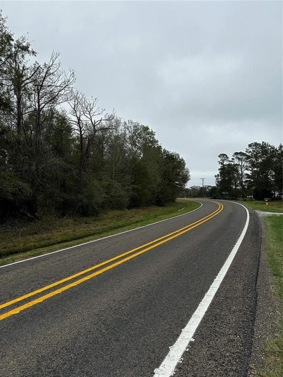 0.46 acres in Polk County - photo 4