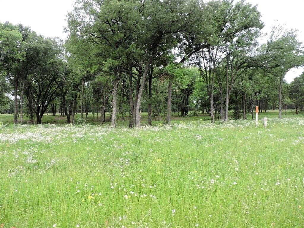 32.38 acres in Henderson County - photo 10