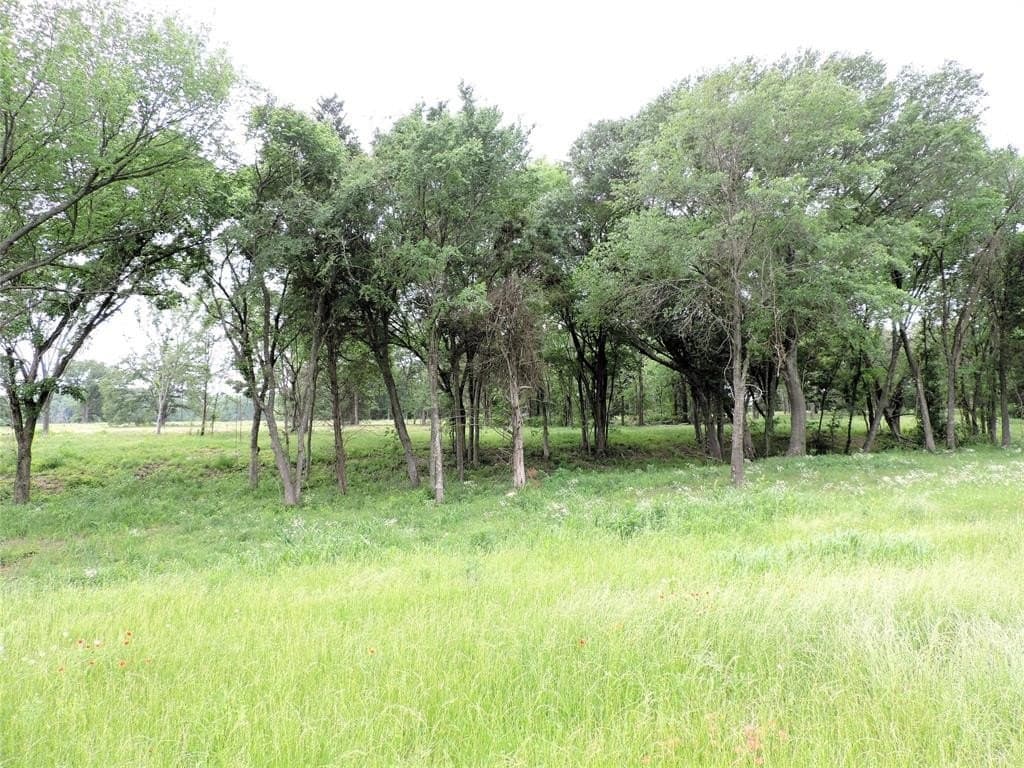 32.38 acres in Henderson County - photo 6
