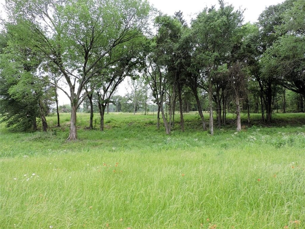 32.38 acres in Henderson County - photo 5