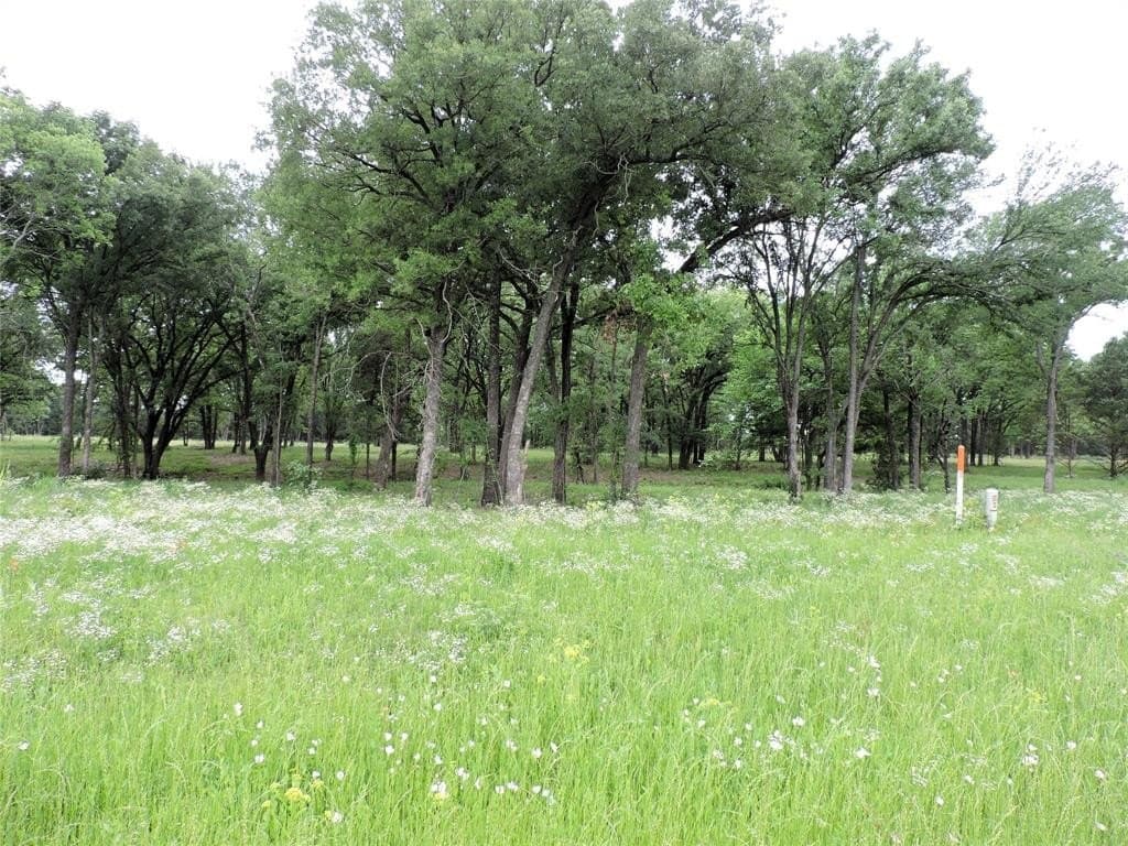 32.38 acres in Henderson County - photo 7