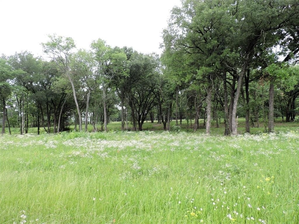 32.38 acres in Henderson County - photo 9