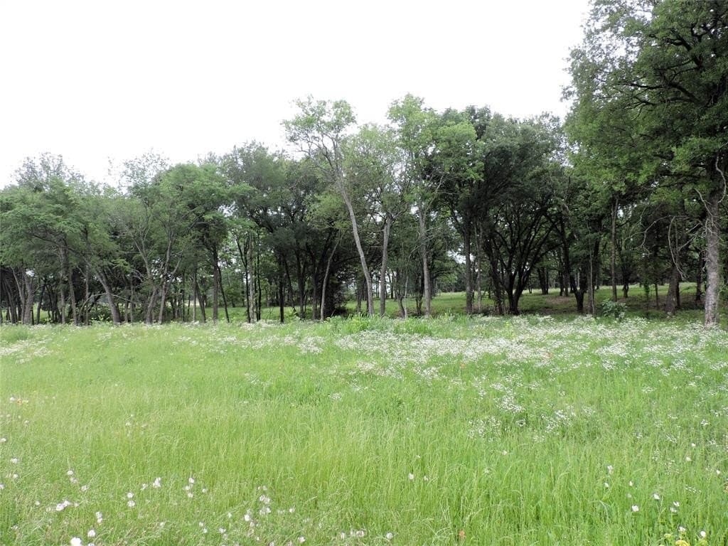 32.38 acres in Henderson County - photo 8