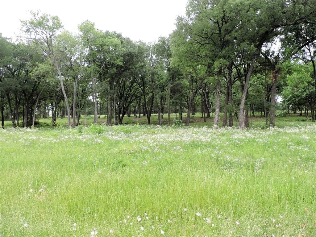 32.38 acres in Henderson County - photo 3