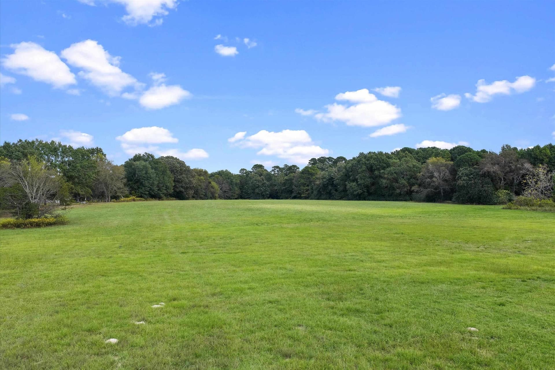 40.41 acres in Rusk County - photo 12