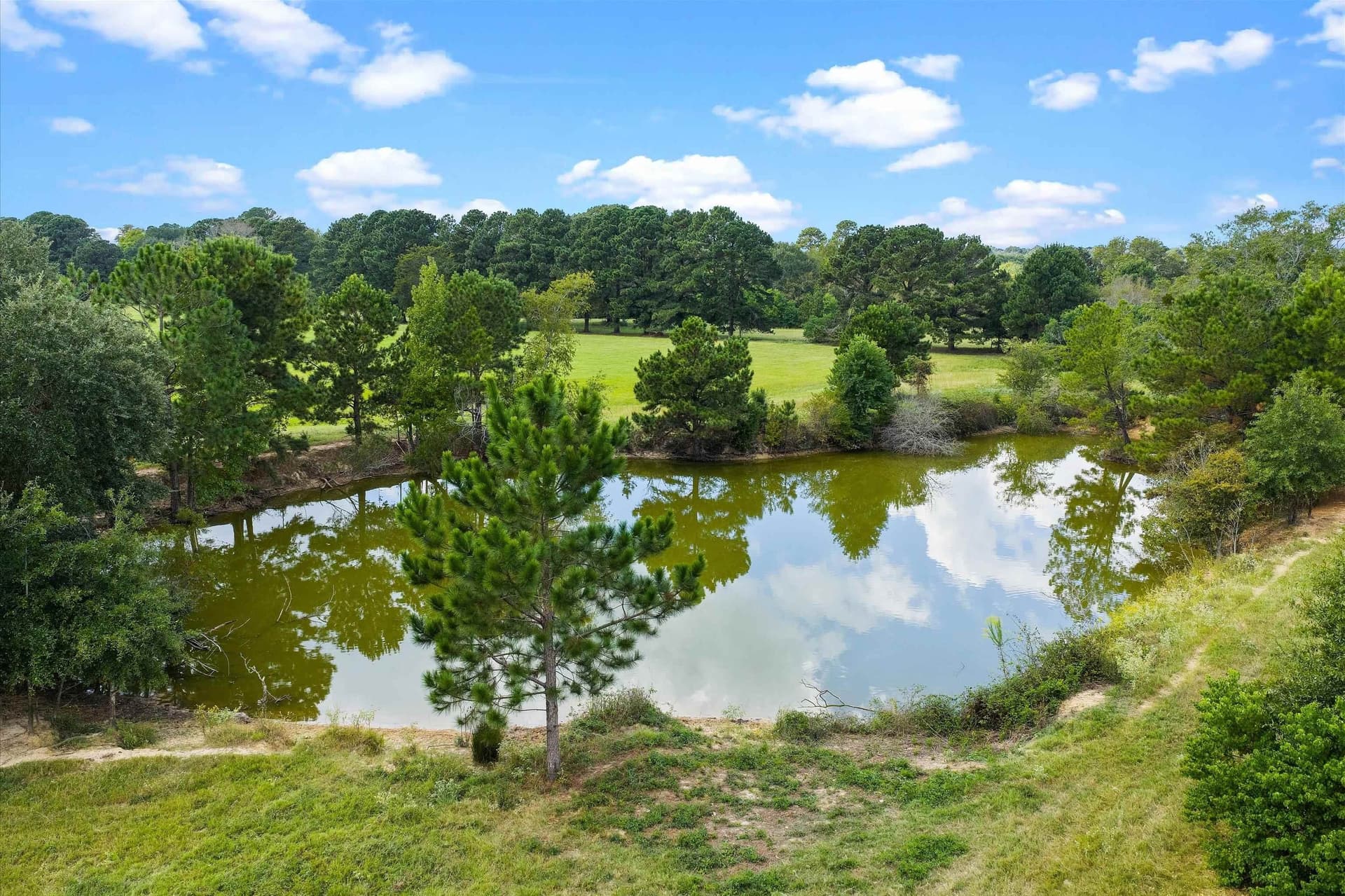 40.41 acres in Rusk County - photo 13