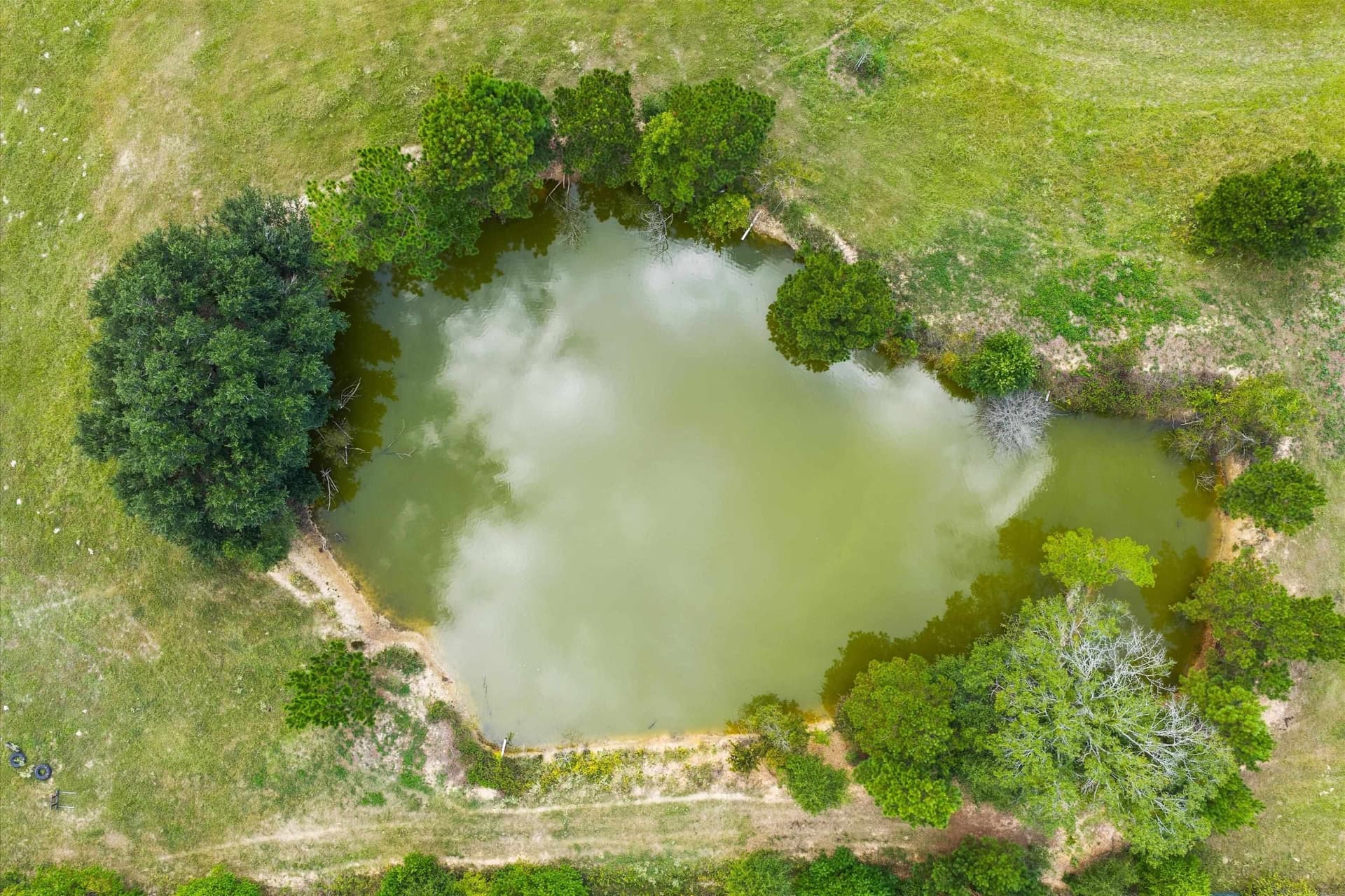 40.41 acres in Rusk County - photo 14
