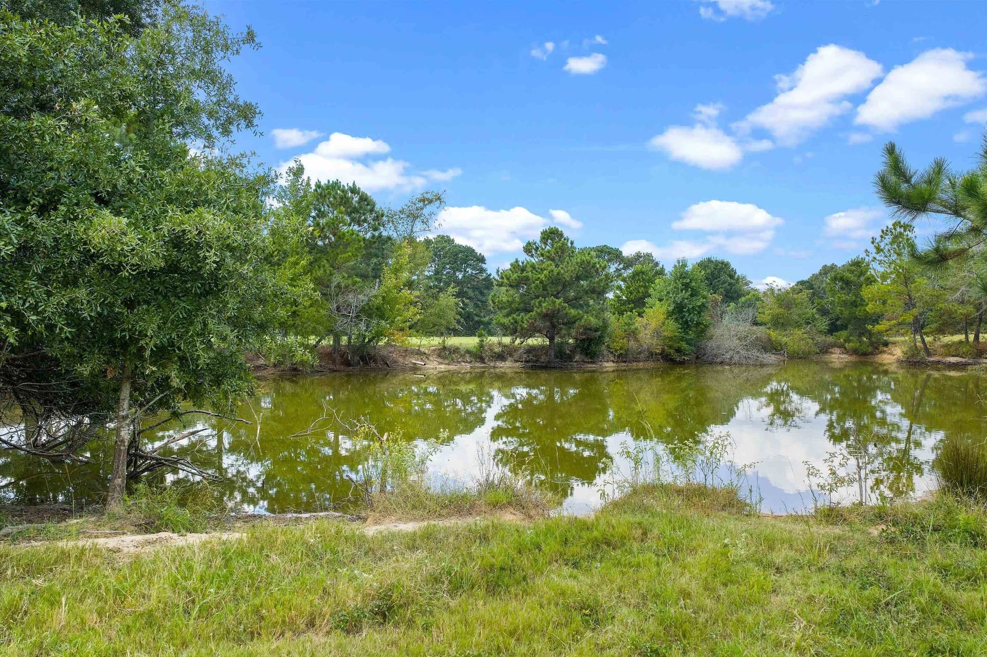 40.41 acres in Rusk County - photo 16