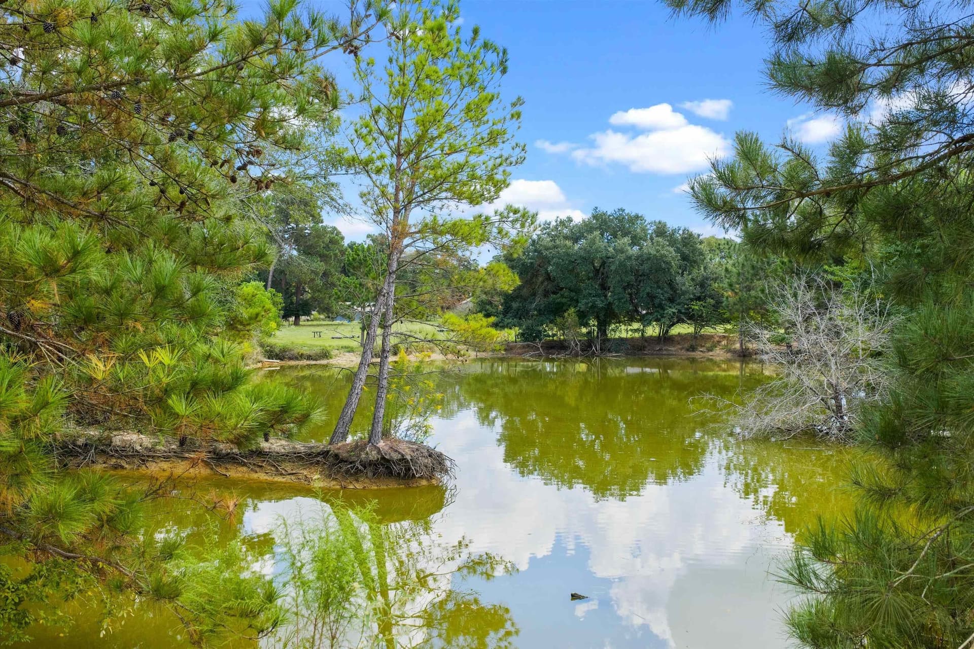 40.41 acres in Rusk County - photo 15