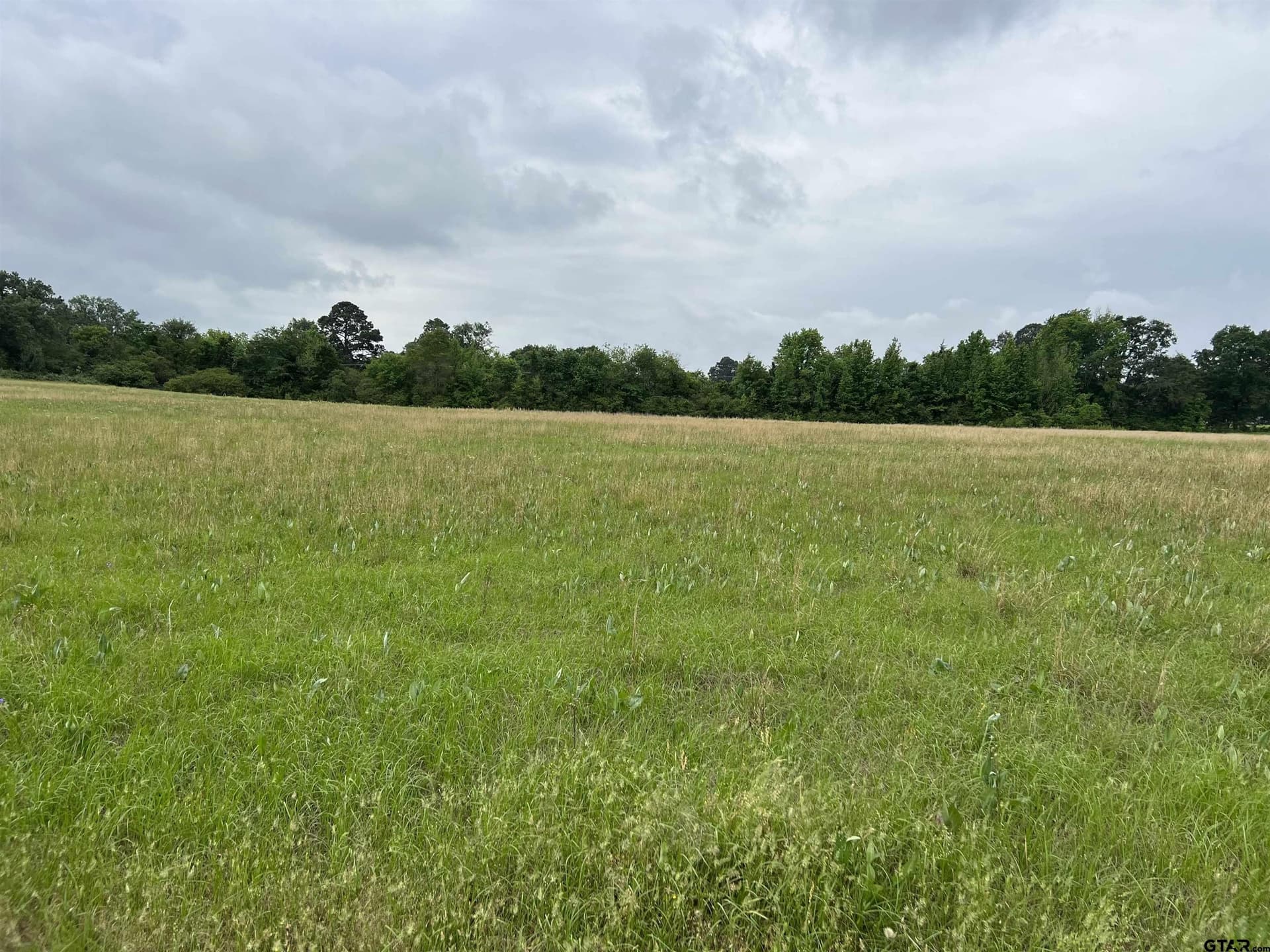 18.44 acres in Morris County - photo 7
