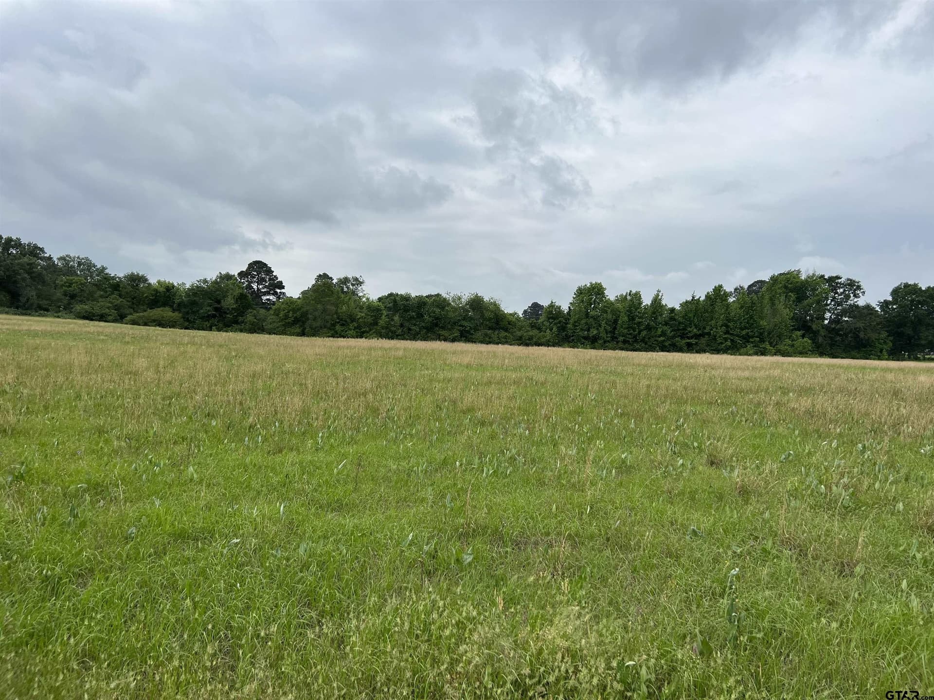 18.44 acres in Morris County - photo 4