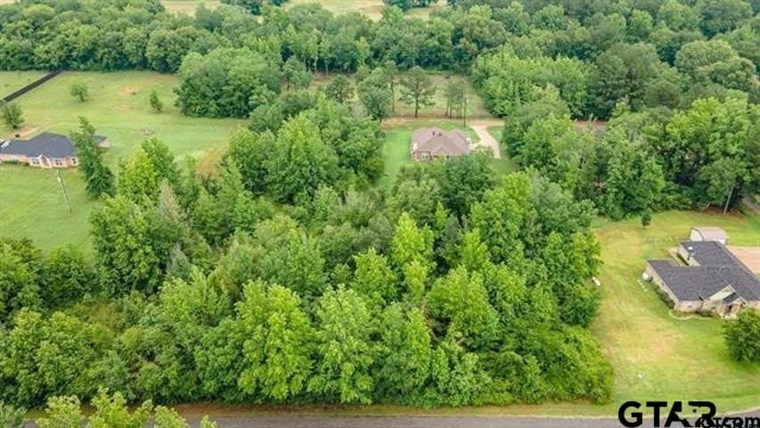 0.43 acres in Anderson County - photo 11