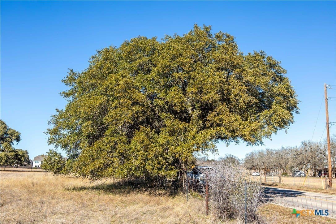 11.18 acres in Kendall County - photo 11
